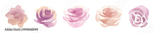 PNG Pastel watercolor roses elegant design on transparent background