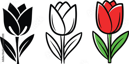 Three tulips in different colors illustration