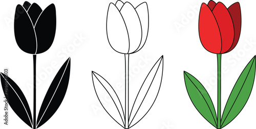 Tulip flowers in black white and red colors