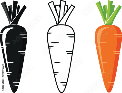 Three carrots in different colors illustration