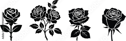 Four black roses with leaves on white background