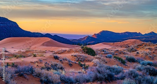 sunset in the desert