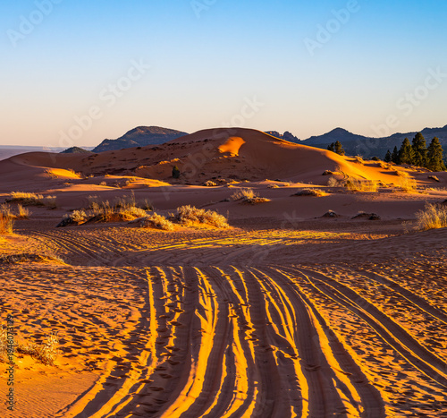 sunset in the desert