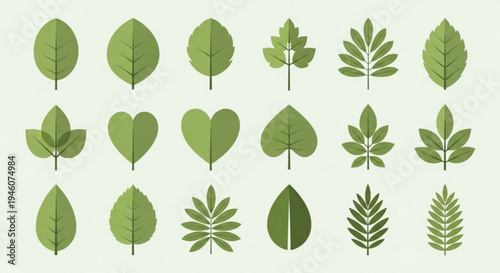 A collection of various green leaf illustrations in different shapes and sizes