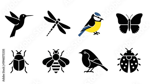Collection of charming insect and bird icons perfect for nature and wildlife designs