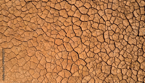 Dry cracked earth texture forming a natural polygon pattern in arid soil vector. Detailed desert ground background representing drought, climate change, dryness and environmental crisis.