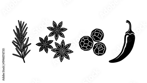 Collection of spices and herbs for cooking and culinary use vector illustration