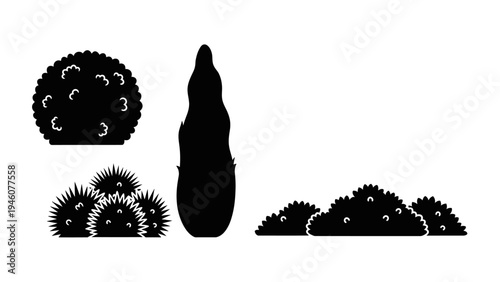 Diverse silhouettes of ornamental plants for landscape design and garden illustrations