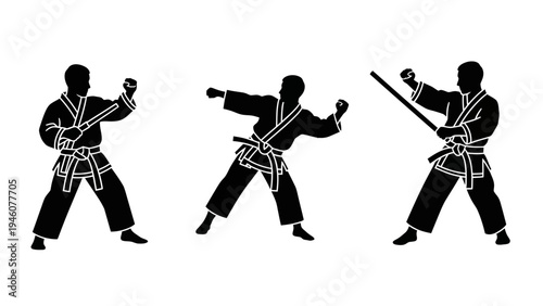 Martial Arts Silhouettes Demonstrating Combat Techniques Against White Background
