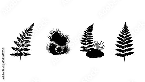 Set of elegant black fern and botanical silhouettes on a clean white background