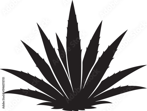Plant Agave Silhouette vector