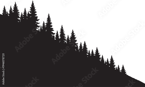  Pine trees on diagonal slope against silhouette vector