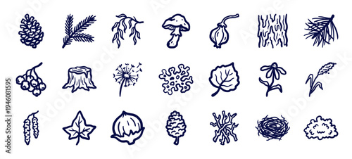 Rustic hand-drawn forest and woodland elements for organic branding. Naive marker sketch illustrations featuring pinecones, leaves, and botanical nature concepts.