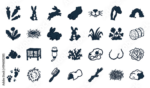 Hand-drawn rabbit care and bunny lifestyle elements in a naive doodle style. Rustic marker sketch illustrations featuring pet supplies and nature concepts.