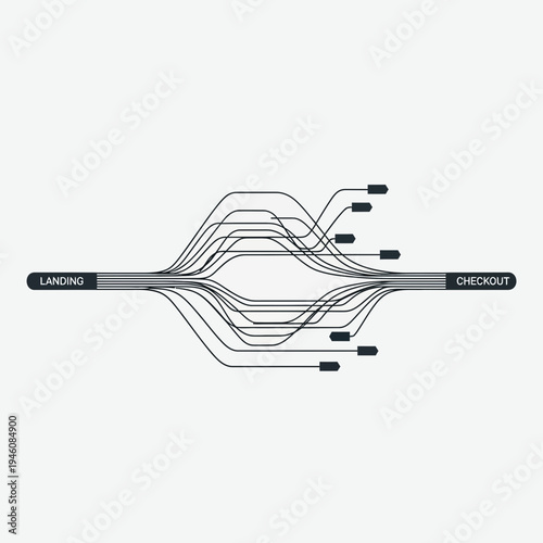 A complex network diagram showing multiple connections between landing and checkout processes.