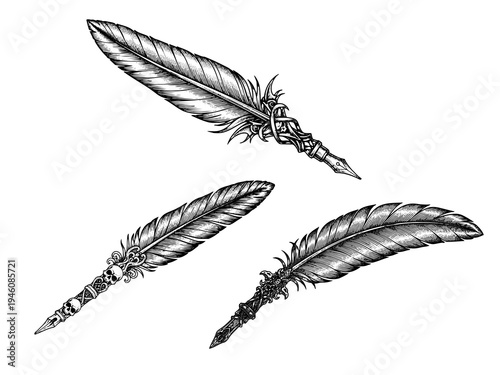Gothic Raven Feather Quill Engraving Illustration