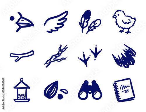 Hand-drawn birdwatching and nature study elements for organic brand identity. Rustic, naive marker sketch illustrations featuring backyard birding concepts.