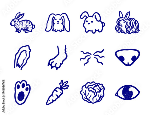 Hand-drawn rabbit breeds and pet care elements in a naive doodle style. Rustic blue marker sketch illustrations for organic veterinary branding.