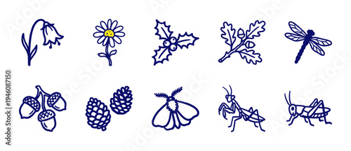 Hand-drawn nature and insect elements for organic brand identity. Rustic, naive marker sketch illustrations featuring forest flora and woodland bugs.