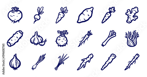 Hand-drawn root vegetables and tuber botanical elements for organic food branding. Rustic, naive marker sketch illustrations of garden produce.