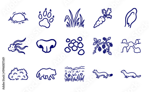 Hand-drawn woodland wildlife and foraging elements for rustic brand identity. Naive marker sketch illustrations featuring mustelid animals and forest flora.