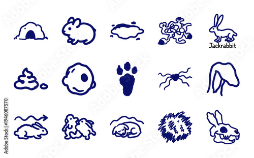 Hand-drawn jackrabbit and leporid nature elements in a naive doodle style. Rustic marker sketch illustrations for organic branding and education.