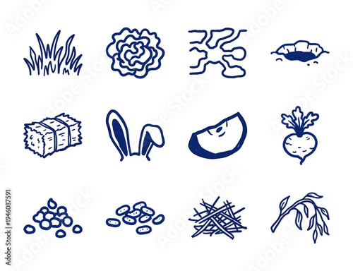 Rabbit care and small animal husbandry elements for organic brand identity. Rustic, naive marker sketch illustrations of pet bunny life cycle.