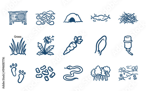 Rabbit care and woodland habitat elements in a rustic hand-drawn doodle style. Naive marker sketch illustrations of pet supplies and nature.