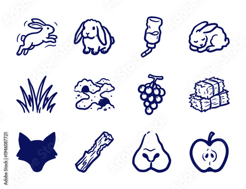 Rabbit care and lagomorph wildlife elements in a rustic hand-drawn doodle style. Naive marker sketch illustrations of bunnies, hay, and foraging.