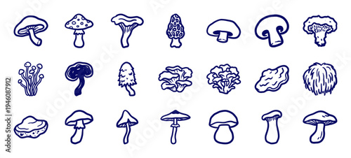 Hand-drawn edible and wild mushroom varieties for organic culinary branding. Naive marker sketch illustrations of fungi, toadstools, and forest botany.