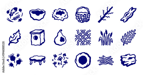 Hand-drawn rustic nature and forest elements for organic brand identity. Naive marker sketch illustrations featuring nests, twigs, and botanical shapes.