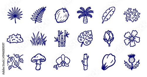 Hand-drawn tropical plants and botanical elements for organic branding. Rustic, naive marker sketch illustrations featuring exotic flora and nature.