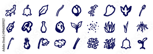 Botanical and organic herbal elements for holistic brand identity. Rustic, naive marker sketch illustrations featuring medicinal plants and floral motifs.