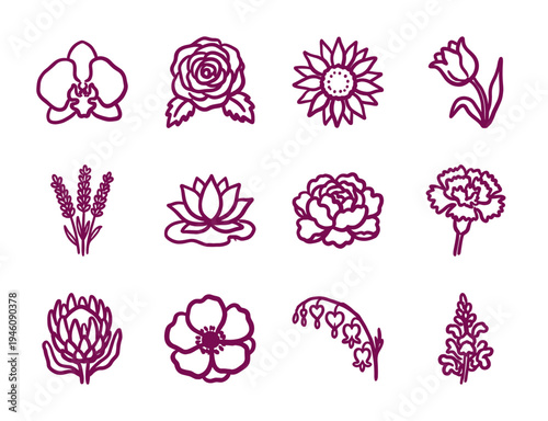 Hand-drawn botanical flower sketches with rustic marker line art aesthetic. Naive garden floral doodles for organic brand identity and spring wedding stationery.