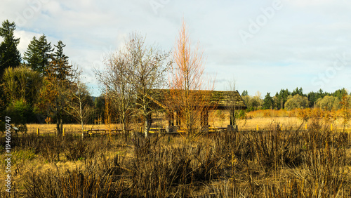 Graham Oaks Nature Park, Wilsonville, Oregon