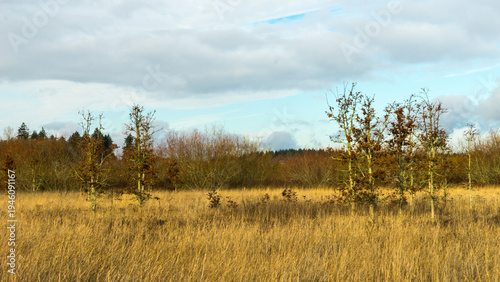Graham Oaks Nature Park, Wilsonville, Oregon