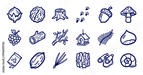 Rustic hand-drawn forest foraging and woodland nature elements for organic brand identity. Naive marker sketch illustrations featuring autumn harvest concepts.