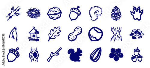 Rustic hand-drawn squirrel and forest foraging elements for organic branding. Naive marker sketch illustrations featuring acorns, nuts, and woodland nature.