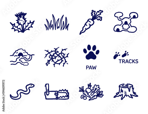Hand-drawn garden pest and wildlife elements for organic farming identity. Rustic naive marker sketch illustrations of burrows, traps, and tracks.