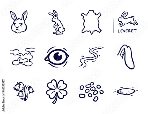 Hand-drawn rabbit and woodland nature elements in a naive doodle style. Rustic marker sketch illustrations of leporine life, burrows, and flora.