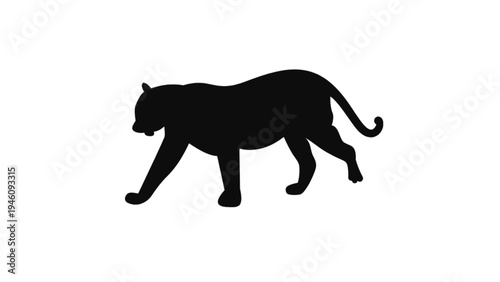vector illustration of a lion