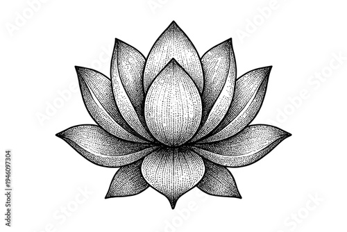 Black and white hand-drawn lotus flower illustration with stippling dotwork and engraving-style linework, a symmetrical ornamental blossom ideal for tattoo art