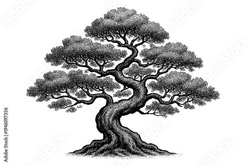 Intricate black-and-white stippled illustration of a bonsai-style tree with a gnarled twisting trunk and layered canopy, rendered in detailed pointillism and ink linework.