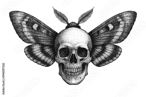 Detailed black and white stippled illustration of a human skull seamlessly fused with large moth wings, vintage engraving, macabre tattoo design and gothic natural history motif