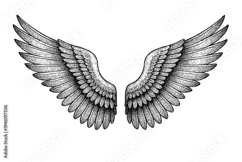 Intricate symmetrical black and white illustration of outstretched feathered wings with detailed stippling, layered primary and secondary feathers, and ornamental texture