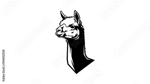 Graphic black and white llama portrait on white background