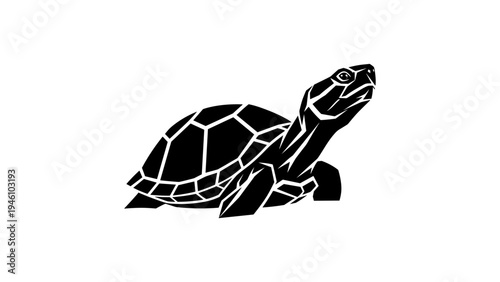 Bold turtle silhouette: intricate black and white design for nature enthusiasts