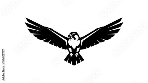 Majestic falcon silhouette with outstretched wings on white background