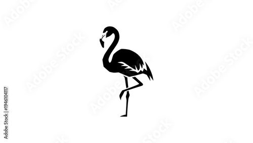 Elegant flamingo silhouette design on white background