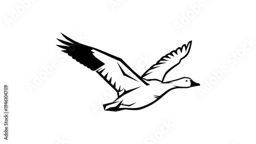 Silhouette of a flying goose with outstretched wings in black and white design